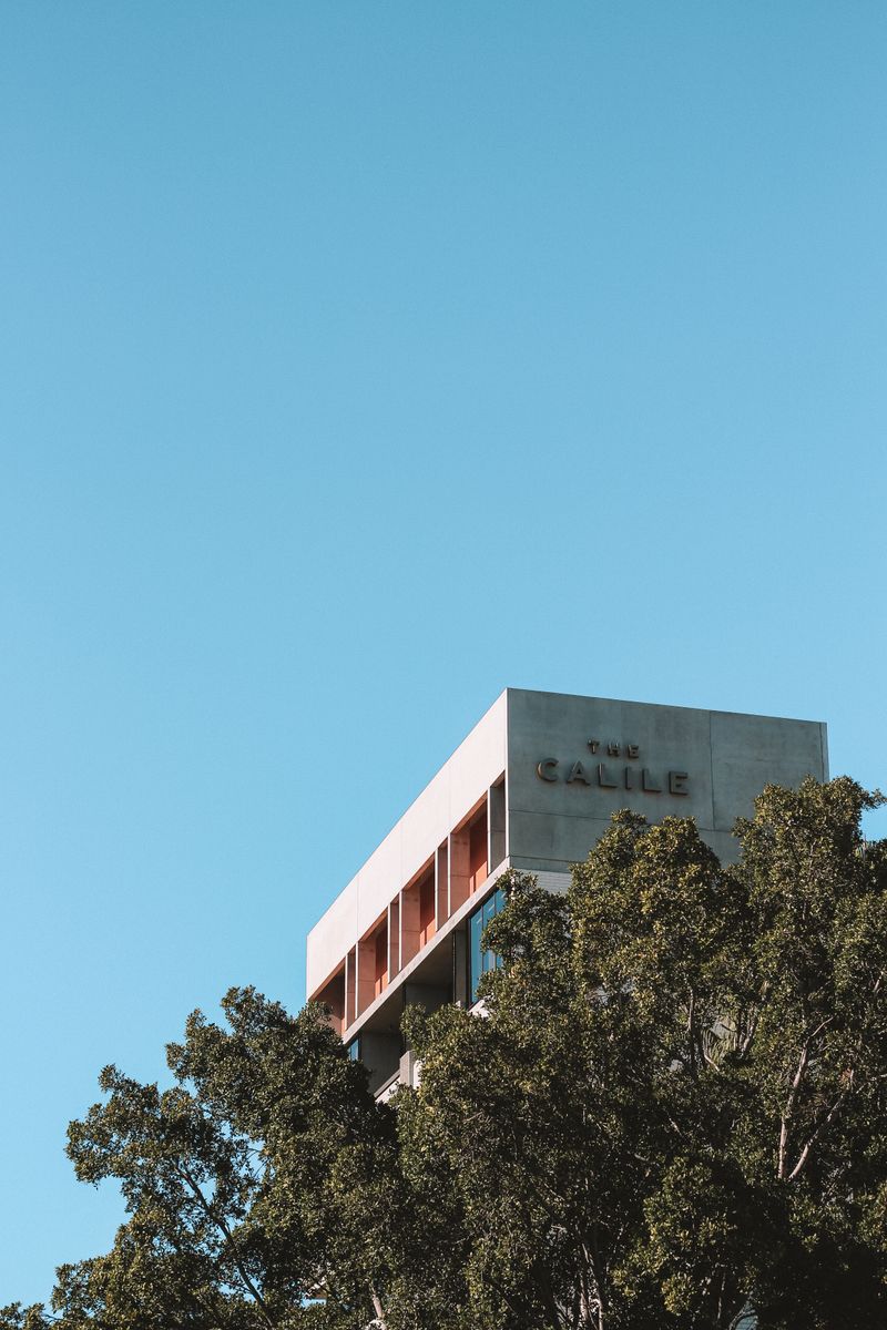 Modern Australian apartment building surrounded by established trees